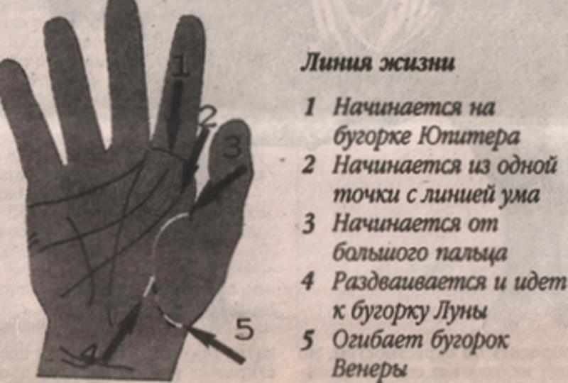 Линия жизни на руке